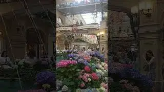 ГУМ, Москва, выборы мэра