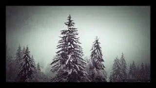 Оренбургский пуховый платок.
