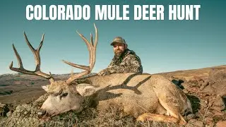 Colorado Mule Deer Hunt with Kryptek CEO Butch Whiting & Justin Sparks