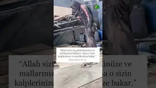 Allah Katında Değerini Bilmek İstiyorsan Seni Hangi İşle Meşgul Ettiğine Bak!
