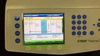 Biorad c1000 Dr. D