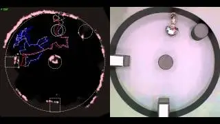 Simultaneous localisation and mapping on a multi-degree of freedom biomimetic whiskered robot