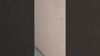 Ду и ППА проверка кду