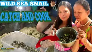 WILD SEA SNAIL 🐌🐌 CATCH AND COOK WITH MY BEAUTIFUL SISTERS AND WIFE #catchandcook