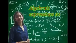 Algebraic Expressions Part 1 of class 8