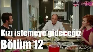 Çilek Kokusu 12. Bölüm - Kızı İstemeye Gideceğiz