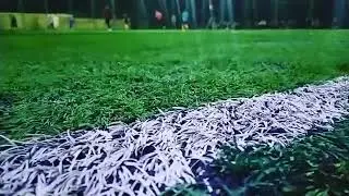 ЯНГИ КУЧКАК МИНИ ПОЛЯ / YANGI KUCHKAK