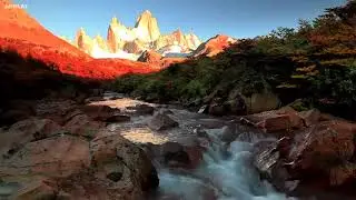 Relaxation 8 hours! Flute Sleep Meditation Music for Sleeping, Soothing, relaxing music duduk
