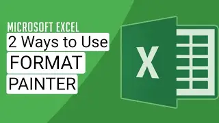 Two Ways to Use Format Painter in Excel: Excel Tips and Tricks