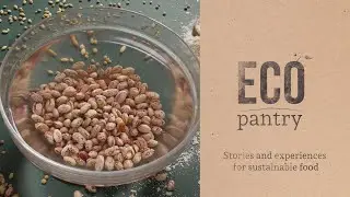 ECO Pantry - teaser
