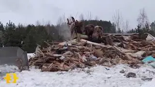 Сердце кровью обливается: За что так с ними?