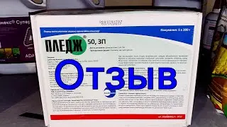 Гербицид Пледж на подсолнечнике. Отзыв