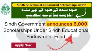 Sindh Endowment Fund Trust Scholarship |  How To Apply Online For SEEF Scholarship 2024 | SEEF