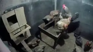 Гнездо для кур своими руками