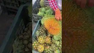 Bà bán hàng cười tít mắt #shortsfeed #shots #tintuc