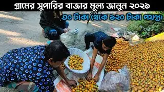 গ্রামের সুপারির বাজার মূল্য | Bhai Supari Koto Nilo | Gramer Supari Bajar | Mr Zahid