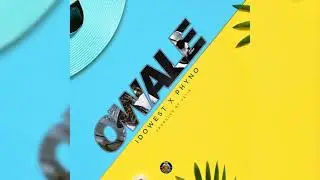 Idowest - Owale (feat. Phyno)