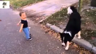Best Funny Babies - Funny Babies Compilation - Amazing Babies Dancing - Funny Baby's #2