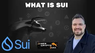 Sui The Next Generation of Layer 1