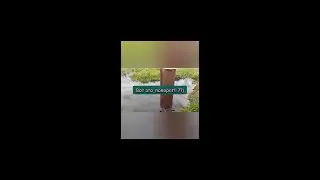 Все как обычно снова не удача "мой пруд в аренде"