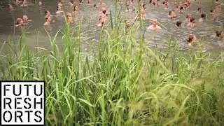 Secret Swimming at Wilderness Festival