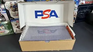 PSA Reveal