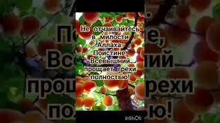 Не отчаивайтесь в милости Аллаха