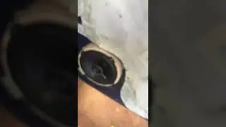 Заменил штатные динамики!