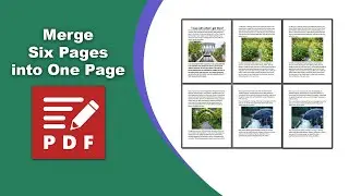 How to turn 6 pages into 1 page in PDF-XChange Editor