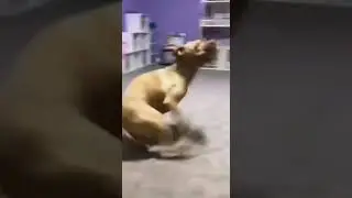 На работу к 8. Я в 7:55