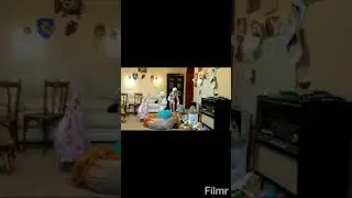 Домашний зомби апокалипсис