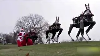 Лучшие Приколы)