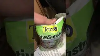 Когда фанат TETRA