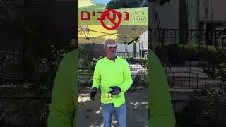 הסתבכתם עם הטופס הירוק אבל רוצים רישיון? תראו | נתיבים - בית ספר לנהיגה