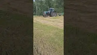 #мтз #сено #сенокос #сезон2024 #ферма #фермер #сельскоехозяйство