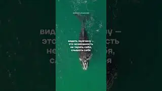 Вторая ошибка в отношениях - искусство видеть