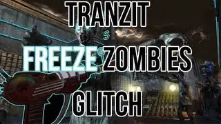 Black Ops 2 Freeze Zombies in Tranzit Mode