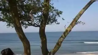 Полет нормальный