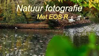 Student probeert natuur fotografie | Eos R