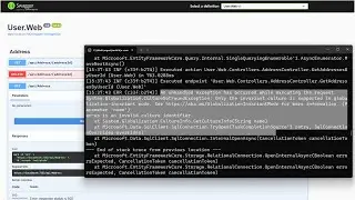 EF Core 8: Only the invariant culture is supported in globalization-invariant mode | .Net Core 8