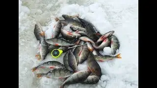 Окуни как из пулемёта-рыбалка на мормышку😃👍