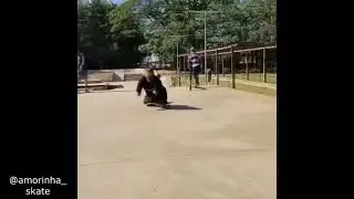 Found This Best Skateboarding Tricks of All Time 🥵🥵🥵....Enjoy 🤟