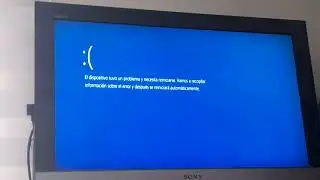 Bear Scream Has BSOD Part 2