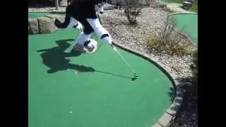 5/2 Mini Golf Furmeet at Hidden Pointe - Part 6