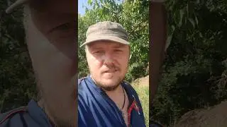 Дуже люблю абрикоси