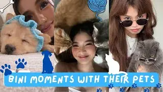BINI with Their Pets Part 1 | BINI VIDEOS