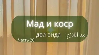 обязательный мадд часть 2