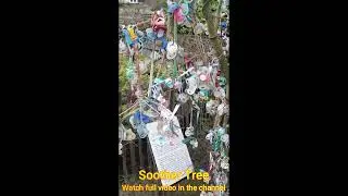 Pacifier Tree In Germany