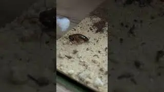 25 июня 2023 г.