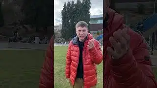 Как там школы в Америке? 